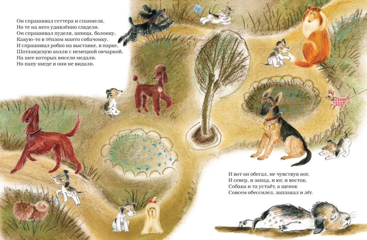 5 детских книг про кошек и собак