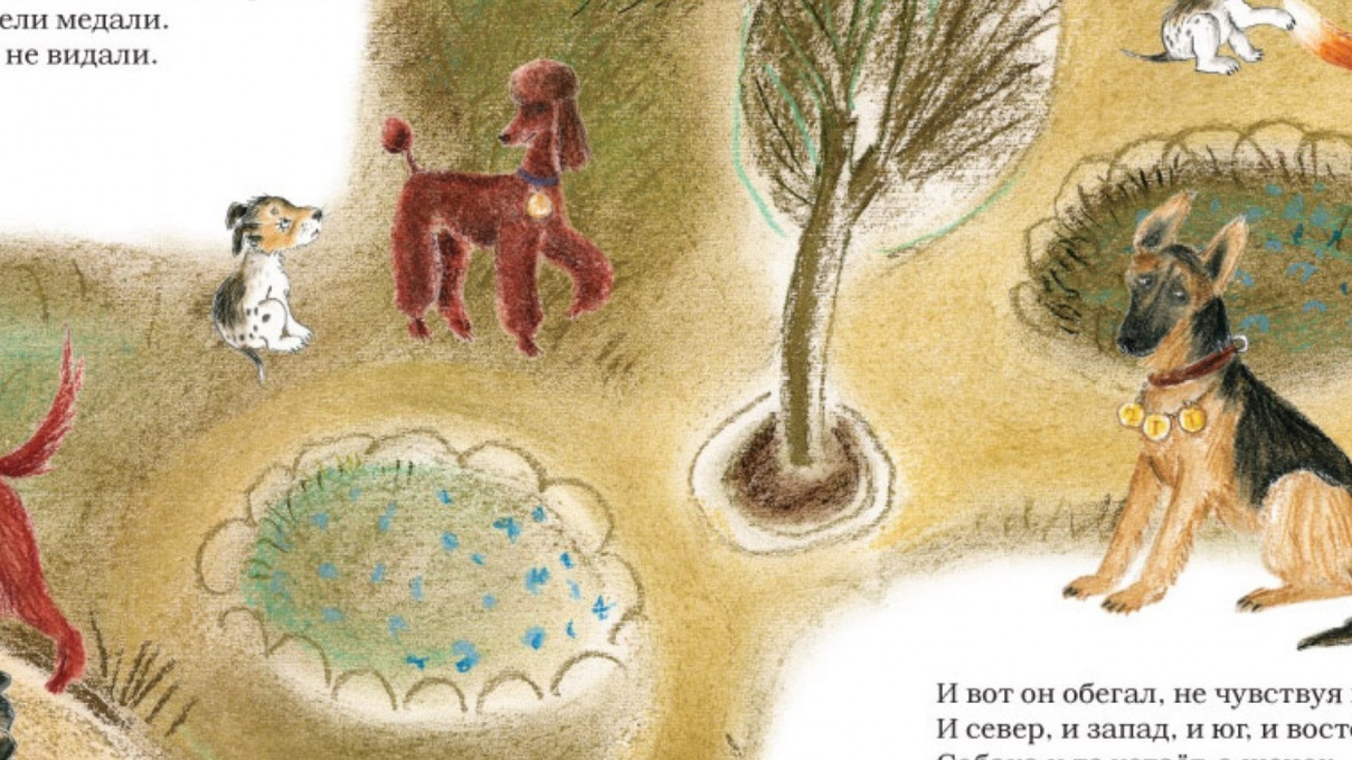 5 детских книг про кошек и собак